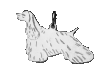 Amerikansk Cocker Spaniel slipsklämma