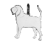 Blodhund örhänge huvud par