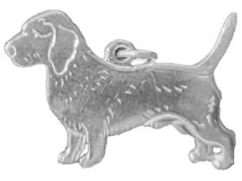 Basset fauve de bretagne hängsmycke - Silver