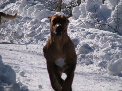IMG_0597 IMG_0597