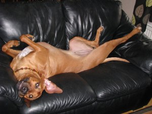 IMG_7658 IMG_7658