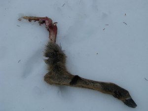 IMG_0790 IMG_0790