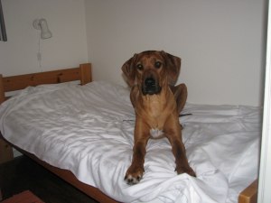 IMG_0875 IMG_0875