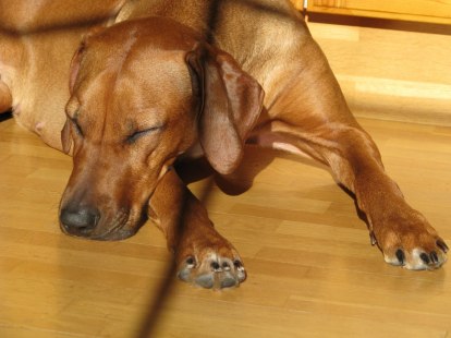 IMG_0718 IMG_0718