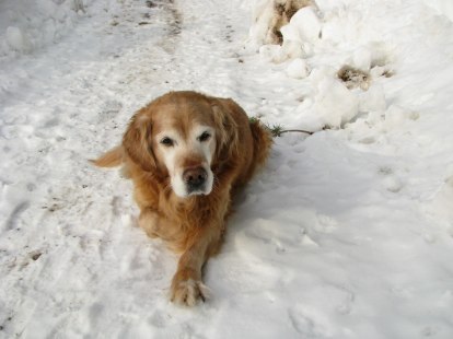 IMG_0673 IMG_0673