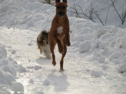 IMG_0677 IMG_0677