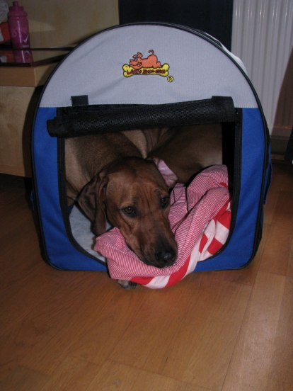 IMG_1165 IMG_1165