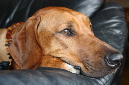 IMG_3583 IMG_3583
