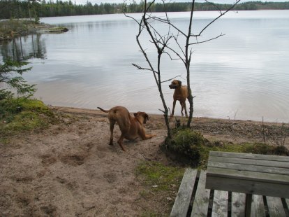IMG_1150 IMG_1150