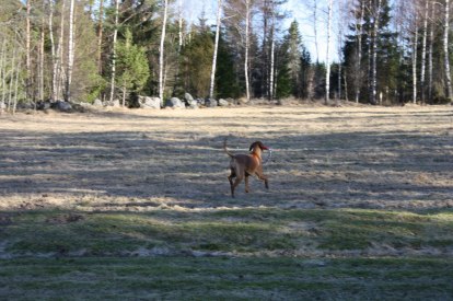 IMG_3328 IMG_3328