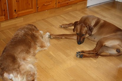 IMG_3326 IMG_3326