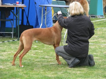 IMG_1128 IMG_1128