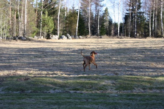 IMG_3328 IMG_3328