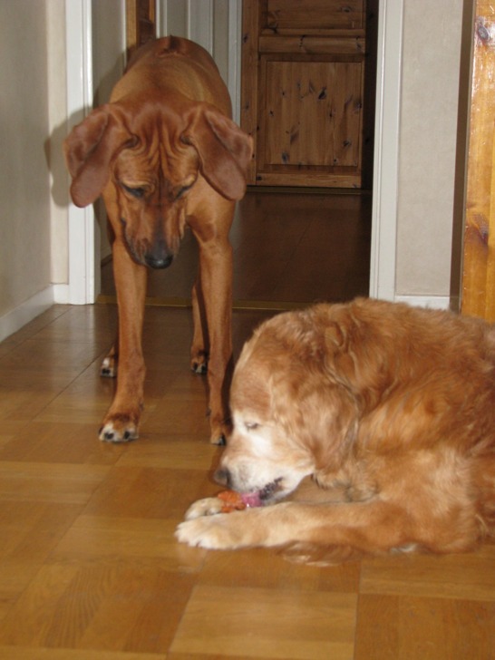 IMG_1136 IMG_1136