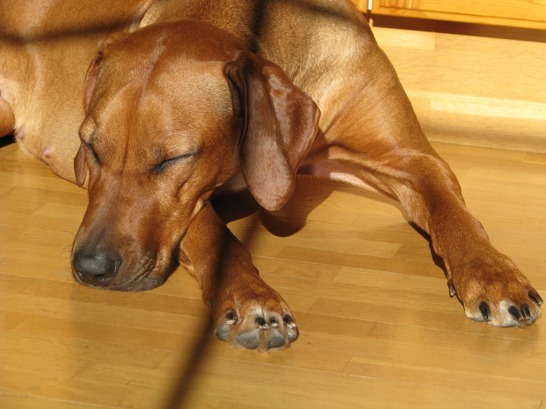 IMG_0718 IMG_0718