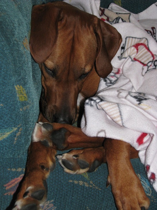 IMG_0846 IMG_0846
