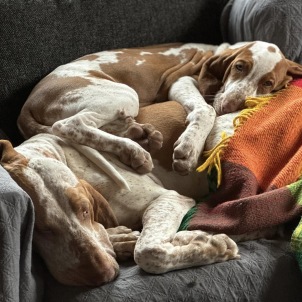 Jinkx sover på mamma Rey