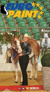 Brave Forever & Mia Bråve 2015 EM Brons Halter Brave Forever & Mia Bråve 2015 EM Brons Halter