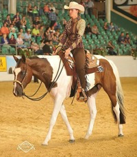 Brave Awesome Asset 2015 EM Silver Hunter Under Saddle. Brave Awesome Asset 2015 EM Silver Hunter Under Saddle.