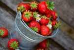En rikare sommar 2018 - ett rikare liv! En rikare sommar 2018 - ett rikare liv!
