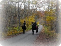 Höstpromenad Höstpromenad