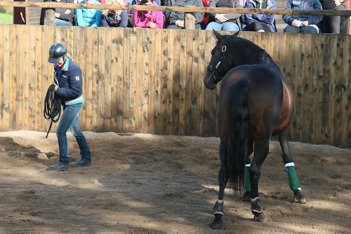 I lördags var det officiell invigning för rundkorallen! Ann Lindberg höll en Clinic med Monty Roberts Join up som ledstjärna. Solen log mot oss och hästarna trivdes samtidigt som de tvåbenta deltagarn I lördags var det officiell invigning för rundkorallen! Ann Lindberg höll en Clinic med Monty Roberts Join up som ledstjärna. Solen log mot oss och hästarna trivdes samtidigt som de tvåbenta deltagarn