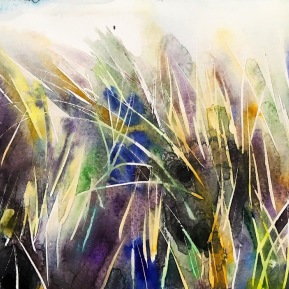 Beach grass 1: 25,4x17,8 cm, watercolor on paper - price upon request