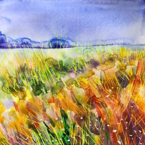 Warm field: 30x30 cm, watercolor on paper, framed in 50x50 cm white frame, price upon request