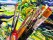 Abstract, colordriven art and some of my painting tools