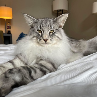 8 month old