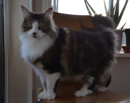 6 år 6 år