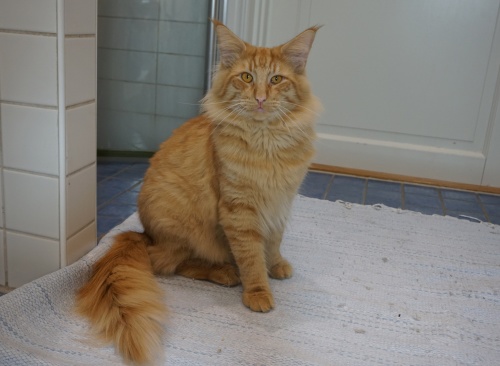 1 år 1 år