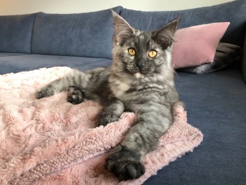 4 month old 4 month old