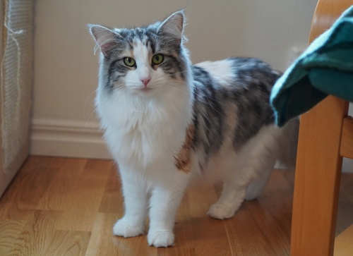 3 år 3 år