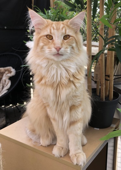 1,5 years old 1,5 years old