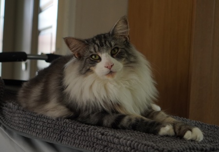 1 år och 8 månader 1 år och 8 månader
