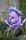 IMG-0927