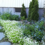 20150605_121751