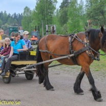 Jessica Göransson med en av sina fina hästar drar en remmalagsvagn från Medevi.