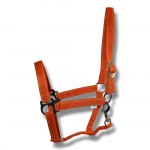 orange orange