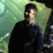 Villa Arelid Nyheter Universeum 1 Villa Arelid Nyheter Universeum 1