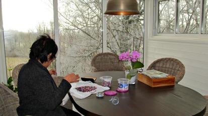Villa Arelid På Vinterträdgård Aktivitet Villa Arelid På Vinterträdgård Aktivitet