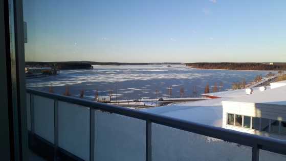 HR-nätverket & Hälsonätverket Luleå HR-nätverket & Hälsonätverket Luleå