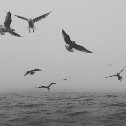 Med havet intill. Med havet intill.