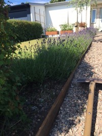Kantplåtar i cortenplåt från Gardensteel fås i olika höjd och mått. De ramar in de olika materialen som finns i din trädgård. Det ramar in dina växter och blommor på ett vackert sätt... Kantplåtar i cortenplåt från Gardensteel fås i olika höjd och mått. De ramar in de olika materialen som finns i din trädgård. Det ramar in dina växter och blommor på ett vackert sätt...