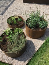 Här hittar ni odlingskärl som är runda där ni inte önskar någon botten utan de lämpa sig bra att ställa direkt på gräs eller grus. Här hittar ni odlingskärl som är runda där ni inte önskar någon botten utan de lämpa sig bra att ställa direkt på gräs eller grus.