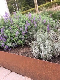 Vi säljer krukor i cortenplåt i olika storlekar och önskemål. Kontakt GardenSteel för närmare prisuppgifter på dina önskemål. Vi säljer krukor i cortenplåt i olika storlekar och önskemål. Kontakt GardenSteel för närmare prisuppgifter på dina önskemål.