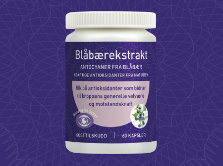 Blåbærekstrakt gravid