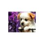NYHET Diamond Painting - Cute puppy 30*40 fyrkantig