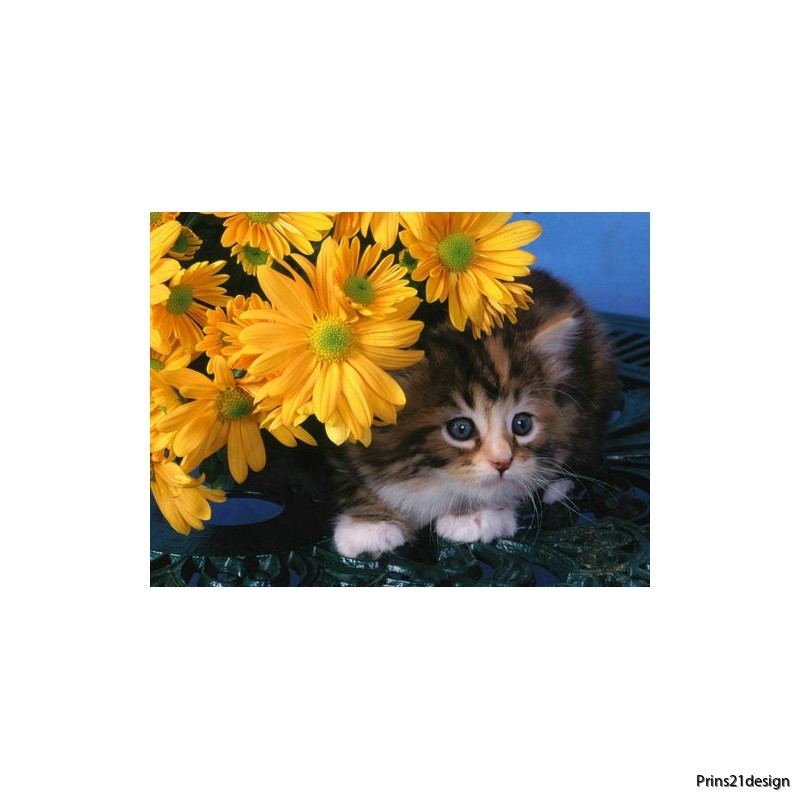 wholesale-daisy-flower-cat-distributor-diamond-painting-full-drilled-5151716